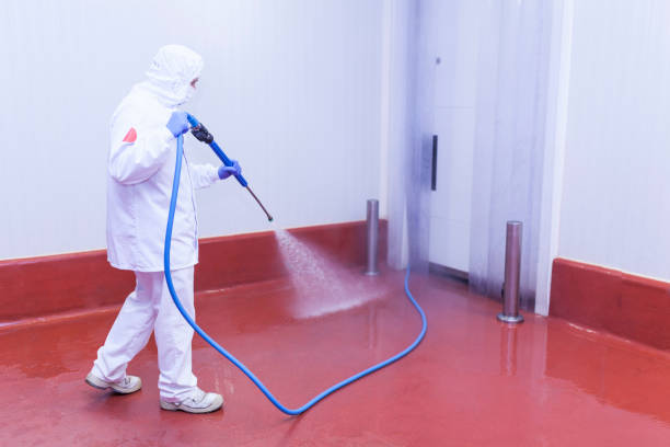 Best Pre-Holiday Cleaning  in Rancho San Diego, CA